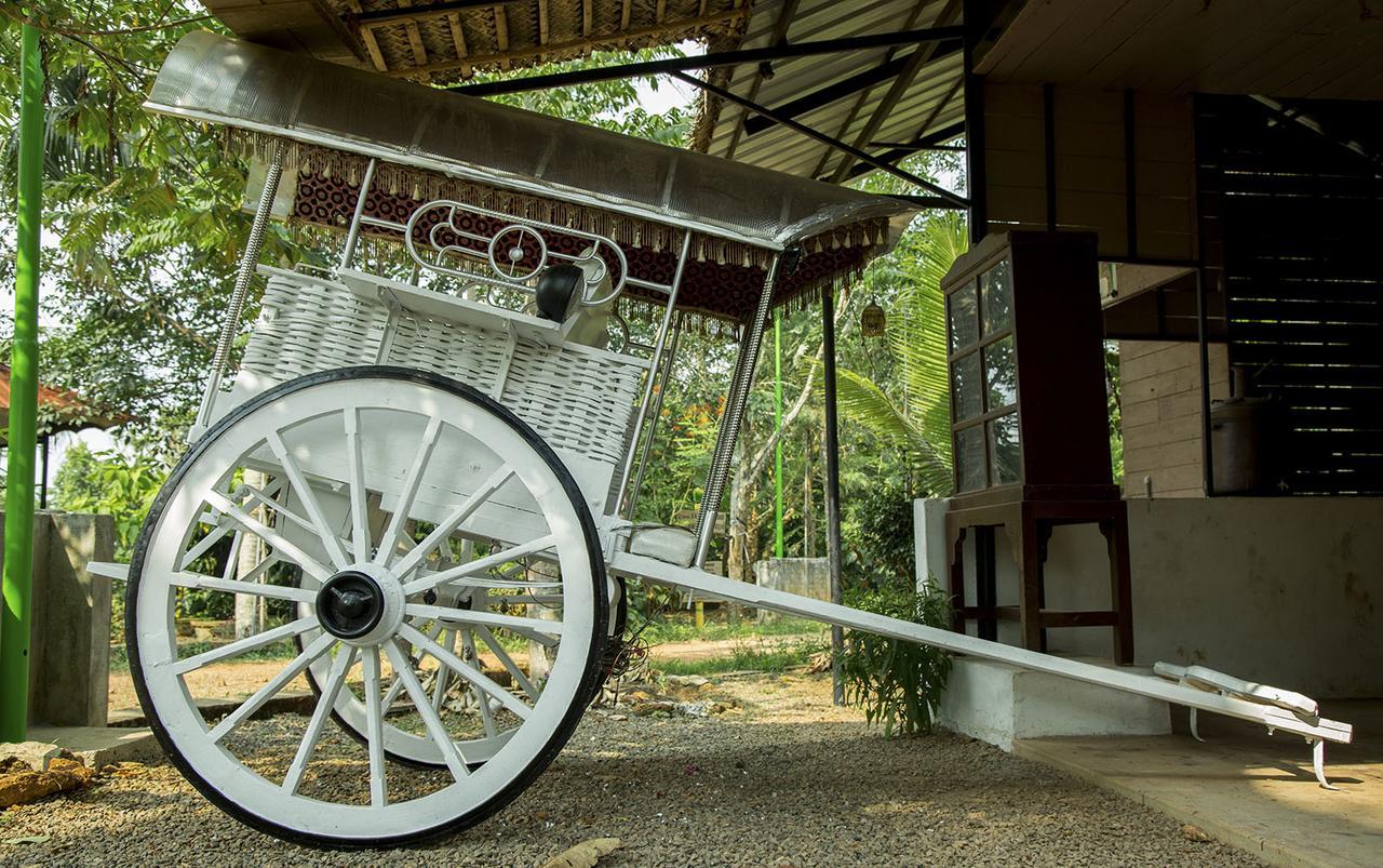 Mango Meadows Kottayam Exterior foto
